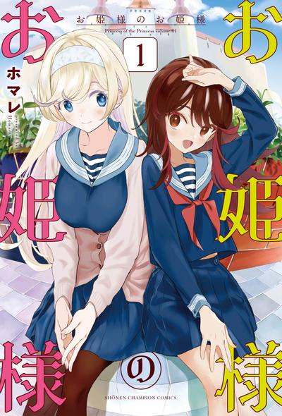 公主大人的公主 封面