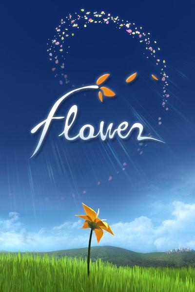 花 封面