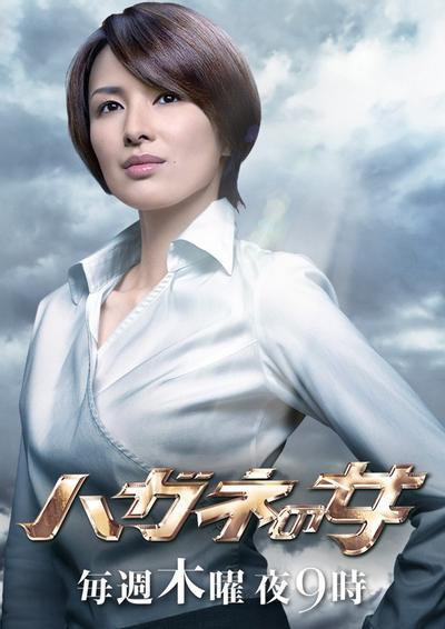 钢之女2 封面