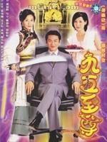 九五至尊 封面