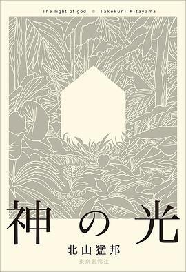神之光 封面