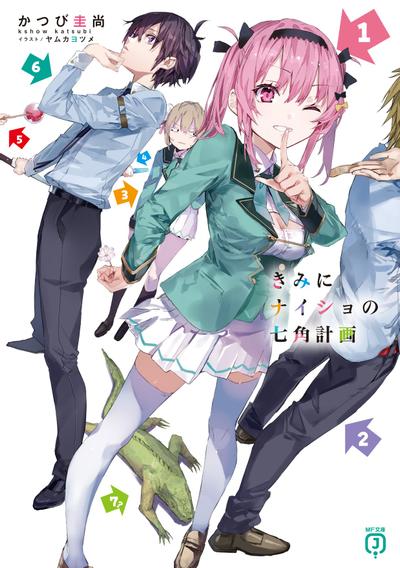 きみにナイショの七角計画 封面