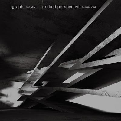 unified perspective 封面