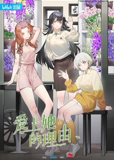 爱上她的理由 封面