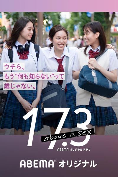 17.3关于性 封面