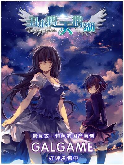 丑小鸭的天鹅湖 封面