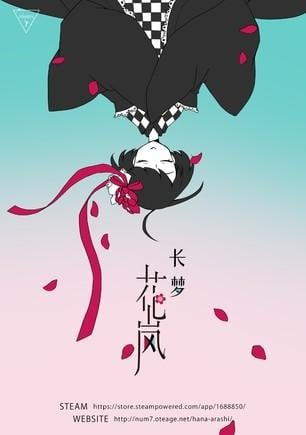 长梦花岚 封面