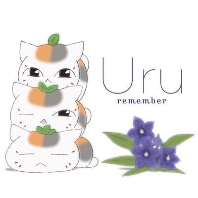 remember 封面