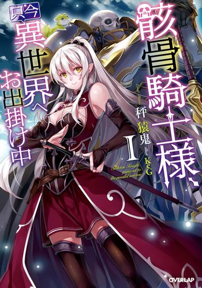 骸骨骑士异世界冒险中 封面