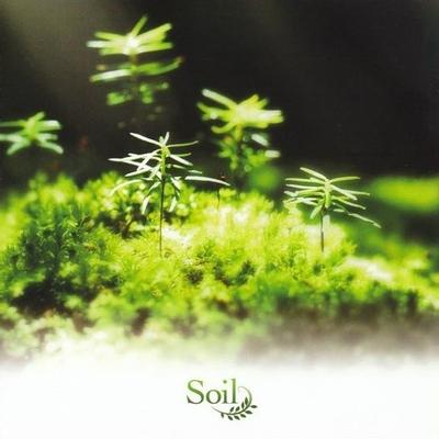 Rewrite Arrange Album 'Soil' 封面