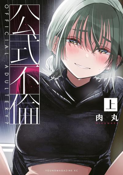 公式不伦 封面