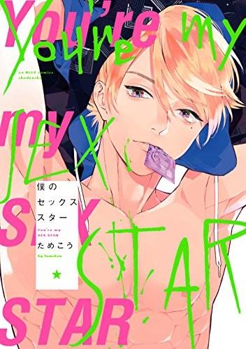 僕のセックススター 封面