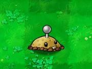 Potato Mine