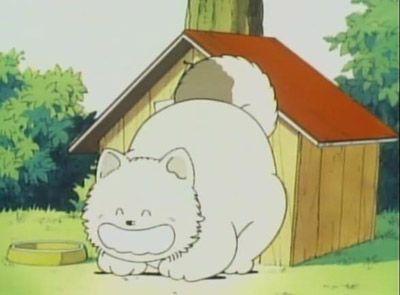 パンチ