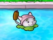 Cattail