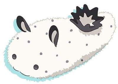 FUSHI