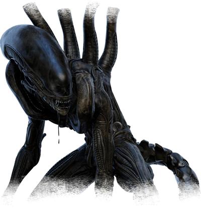 The Xenomorph