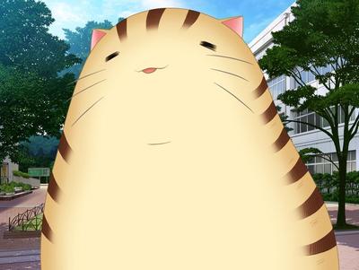 ドルジ