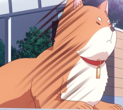 吠える犬