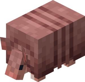 Armadillo