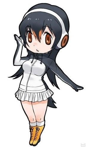 ジェンツーペンギン