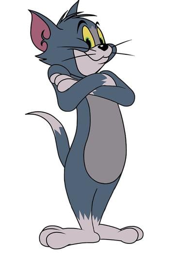 Tom Cat