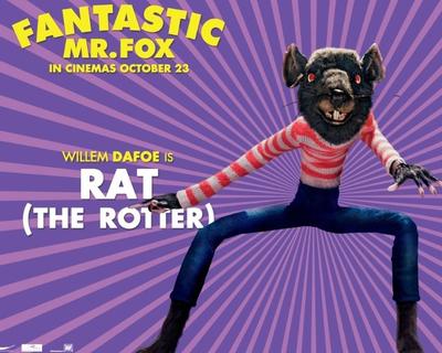 Rat