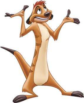 Timon