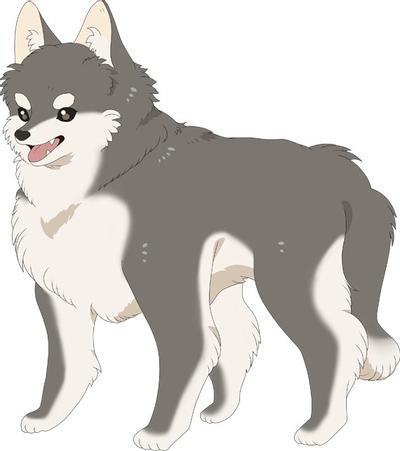 犬