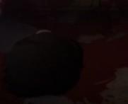 昭野