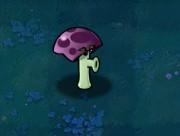 Scaredy-shroom