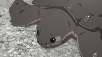 トンちゃん