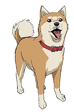 ニラ