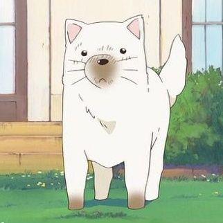チェリー