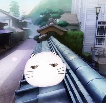 白ももねこ