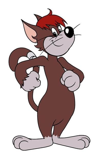 Metre the cat