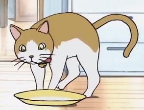 Meeko