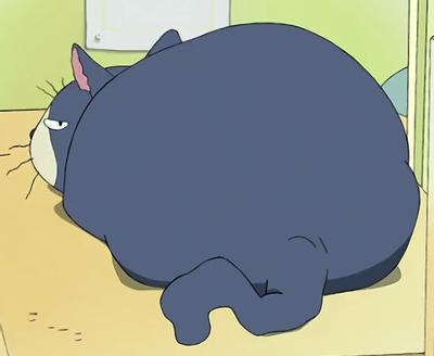 ねこ