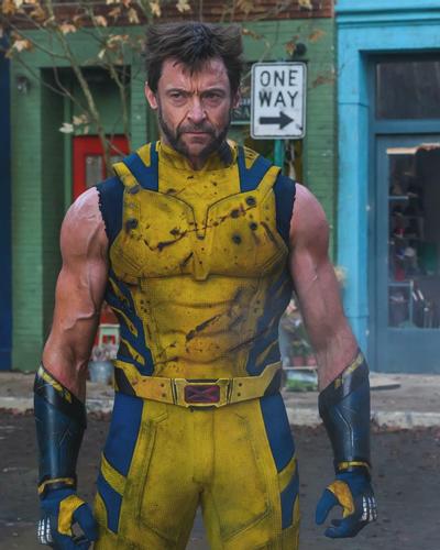 James Howlett / Wolverine (Earth-17315)