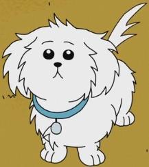 Snuffles