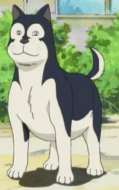 チロ