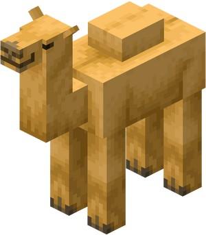 Camel