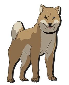 リュウ