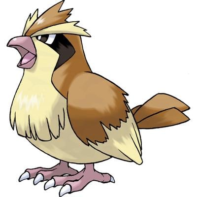 ポッポ