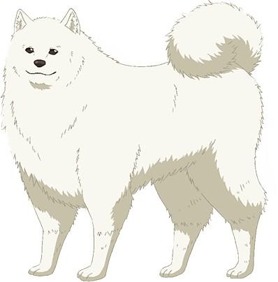 陸