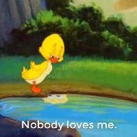 Quacker the Duckling