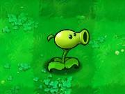 Peashooter