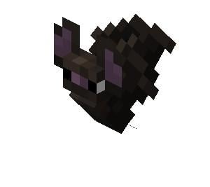Bat