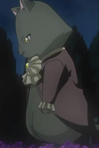 ケット・シー