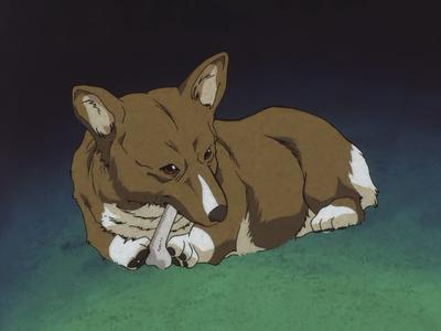 アイン